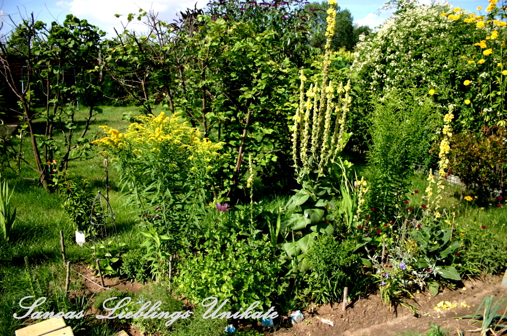Liebevoll leben und lernen - Sanoas Lieblings Unikate - Gartengestaltung - Wildblumenfläche vor den Büschen als Übergang zu den Beeten